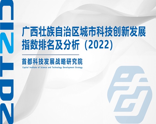 黄色录像正在操逼免费看【成果发布】广西壮族自治区城市科技创新发展指数排名及分析（2022）